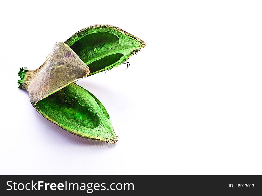 Old green dry fruit on white background