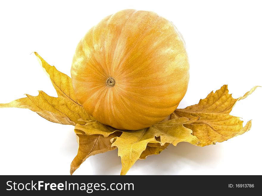 Autumn leaf of maple with pumpkin against white background