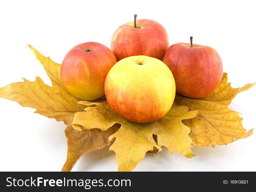 Ripe apples on autumn leaf