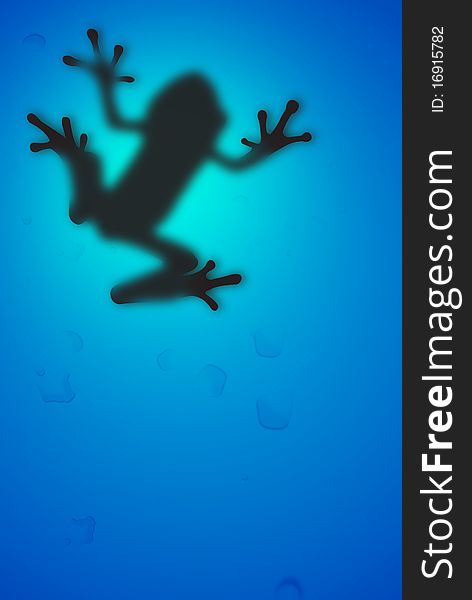Frog hold on glass wall