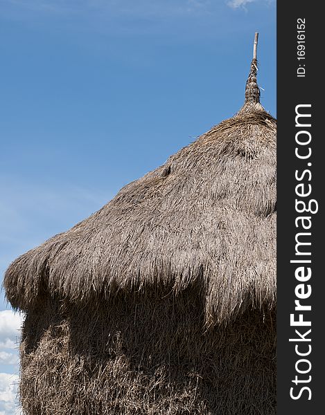 The top of the stack of rice straw