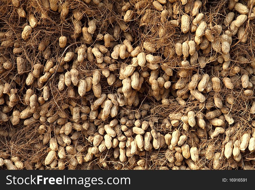 Close Up Of A Pile Of Peanut.