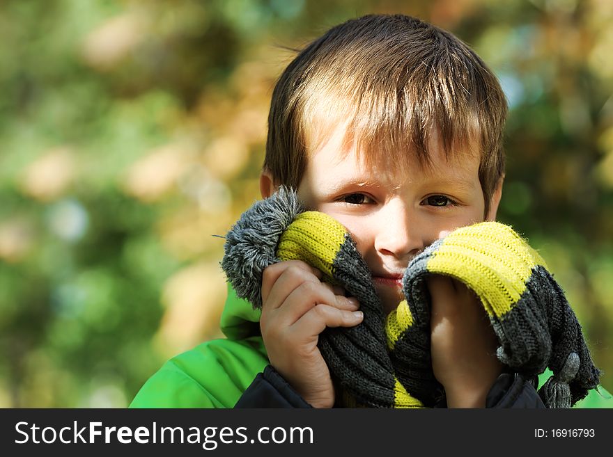 Happy little boy walking at the autumn park. Happy little boy walking at the autumn park.