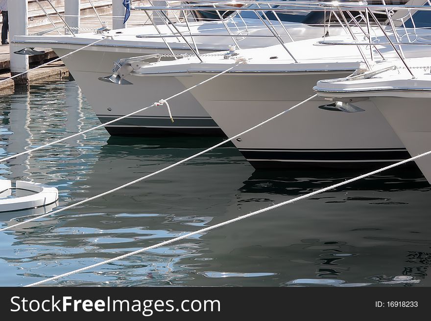 A number of luxury boats moored in a marina