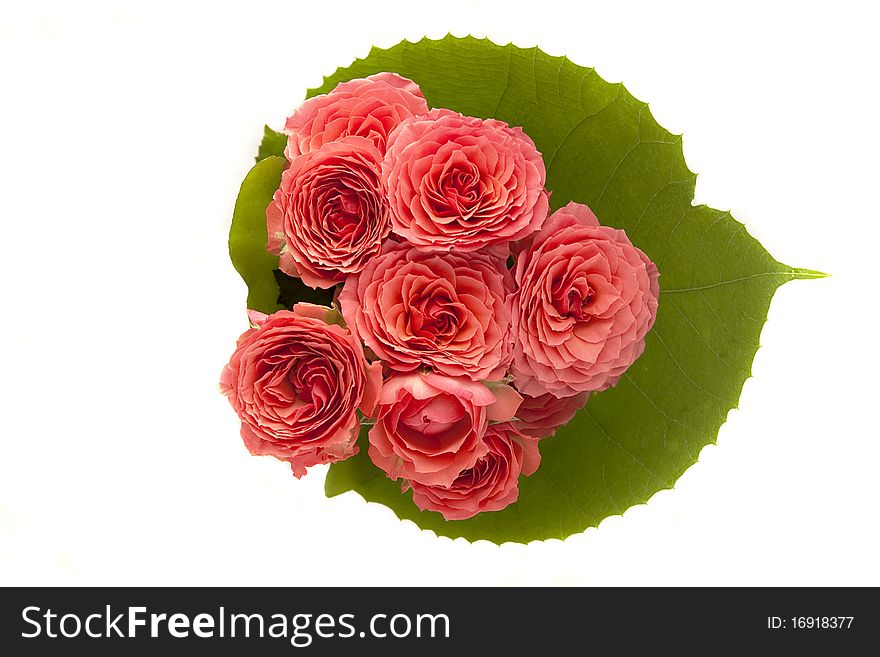 Bouquet of pink roses, top view