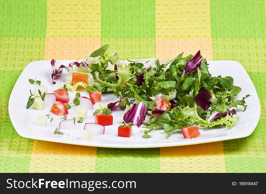 Various salad leaves with tomato, radish and cucumber. Various salad leaves with tomato, radish and cucumber