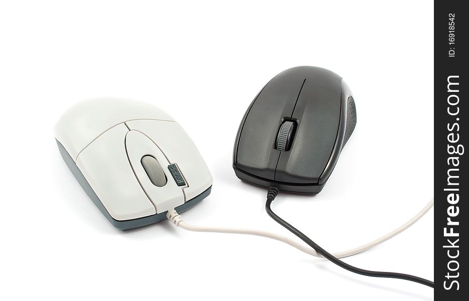 Computer mouse on white background