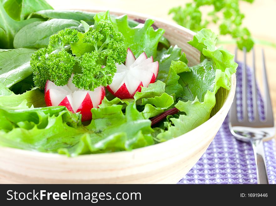 Salad With Radish
