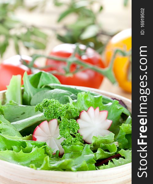 Fresh green salad with radish closeup. Fresh green salad with radish closeup