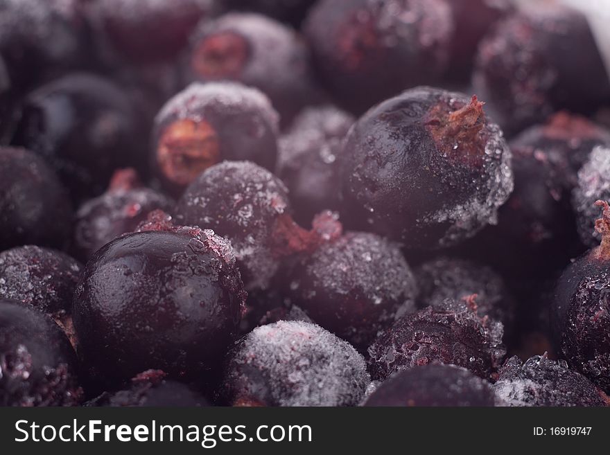 Bunch of frozen black currant.