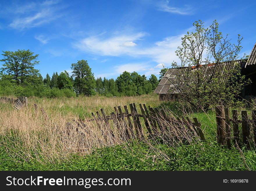 Old fence in green herb