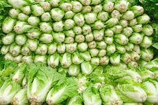 Chinese Cabbage On The Truck Stock Photo