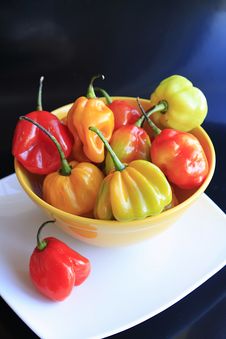 Habanero Peppers Royalty Free Stock Photos
