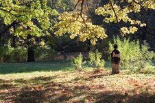 A Japanese Lady In An Autumn Forest Stock Images A Japanese Lady In An Autumn Forest Stock Images