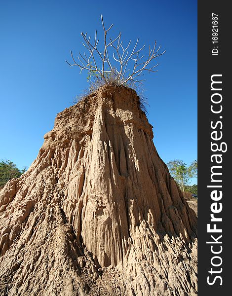 The pillar of the soil is called Sao Din Na Noi. Located in Sri Nan national park, northern of Thailand.