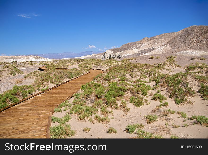 Salt Creek raised boardwalk, Death Valley National Park. Salt Creek raised boardwalk, Death Valley National Park