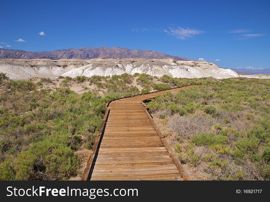 Death Valley Boardwalk Salt Creek