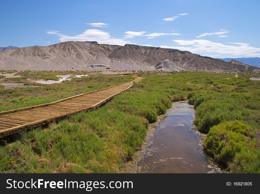 Boardwalk along Salt Creek, Death Valley National Park. Boardwalk along Salt Creek, Death Valley National Park