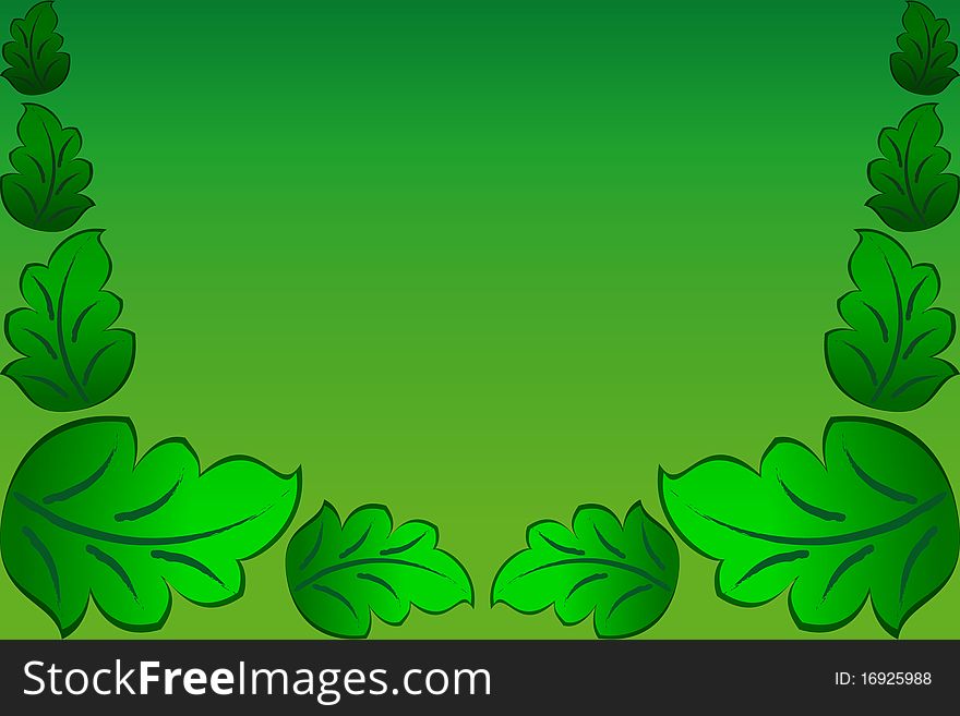 Beautiful Leaf On Background.Vector.