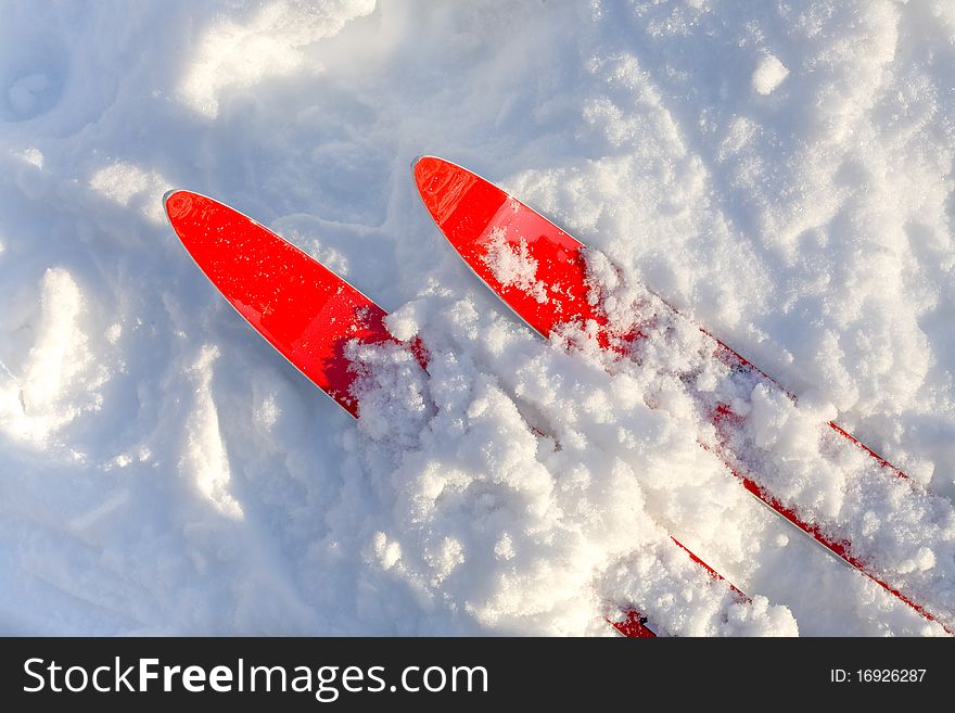 Tips of red skis in sunny snow
