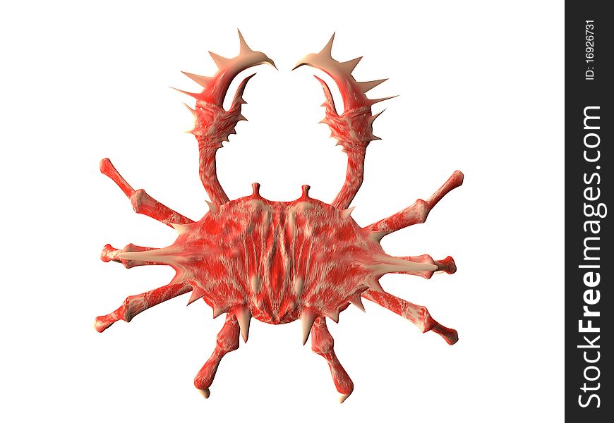 Crab