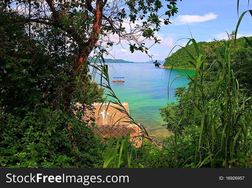 Beautiful sea view trough palnts and trees. Beautiful sea view trough palnts and trees