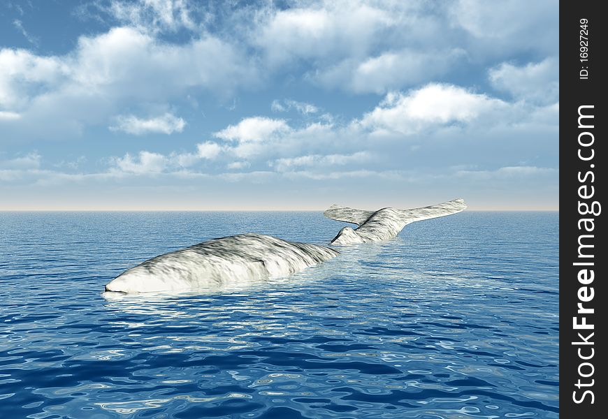 A White Whale