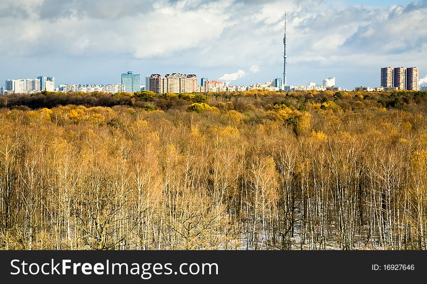 Park in winter, top view with TV tower in the background. Park in winter, top view with TV tower in the background