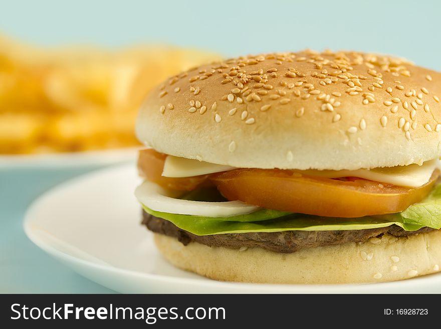 Ostrich meat hamburger with fries out of focus background. Shallow depth of field shot with studio lights macro 100mm. Ostrich meat hamburger with fries out of focus background. Shallow depth of field shot with studio lights macro 100mm.