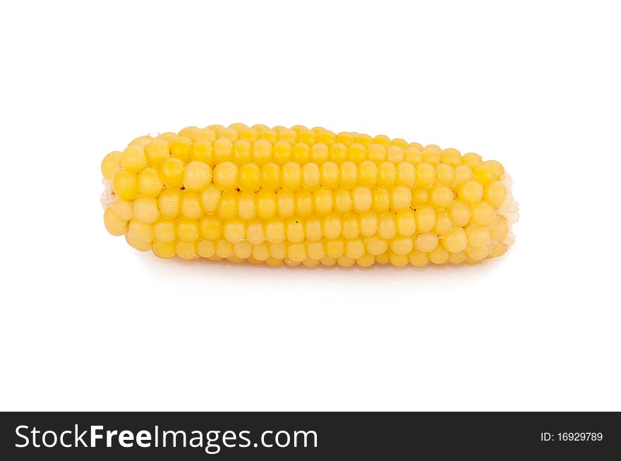 Gold corn on the white background