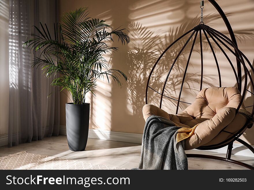 Beautiful large palm in room. Element of interior
