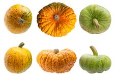 Colourful Pumpkins Isolated On White Background. Stock Image Colourful Pumpkins Isolated On White Background. Stock Image