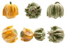 Colourful Pumpkins Isolated On White Background. Stock Photo Colourful Pumpkins Isolated On White Background. Stock Photo