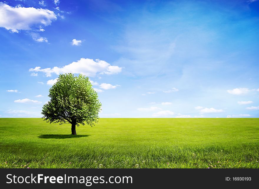 Landscape with a green tree