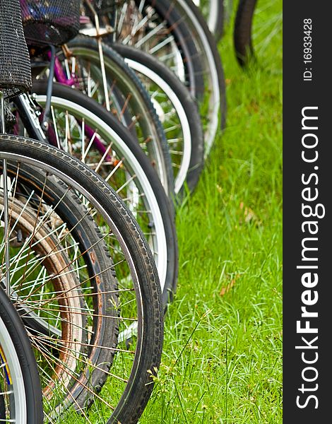 Bicycle parking in the park. Bicycle parking in the park