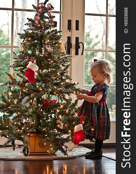 Little Girl Hanging Ornaments on a Christmas Tree. Little Girl Hanging Ornaments on a Christmas Tree