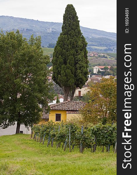 The Chianti area in Tuscany is well known for its wine. The Chianti area in Tuscany is well known for its wine.