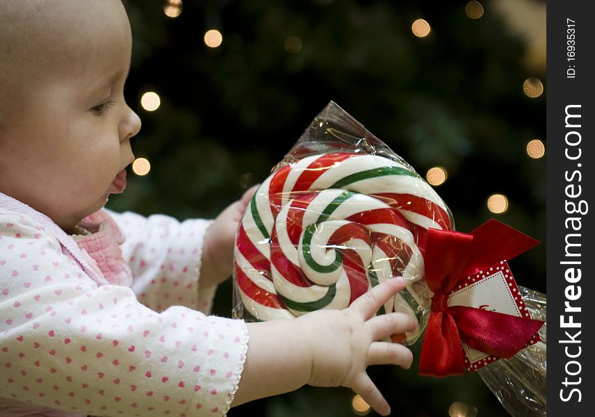 Baby reaching for a Candy Cane Lollipop with a Christmas Tree in the background. Baby reaching for a Candy Cane Lollipop with a Christmas Tree in the background.