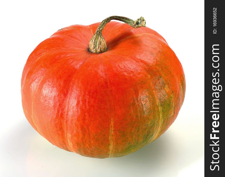 Orange Pumpkin