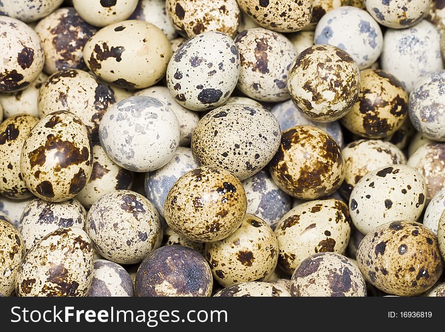 There quail egg in the market