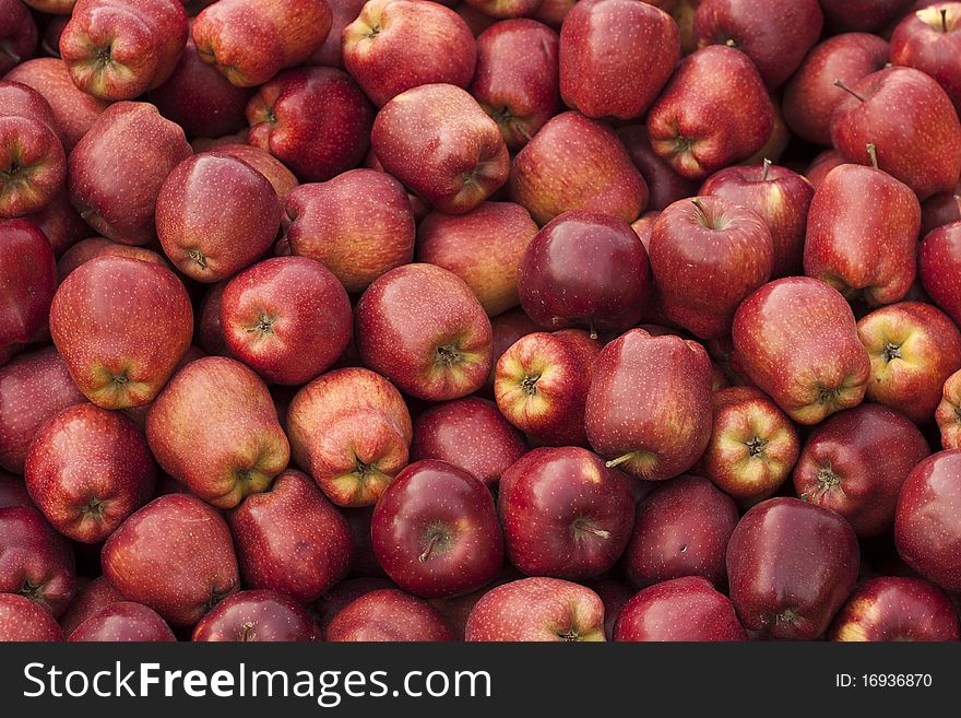 Red delicious apple groud in china