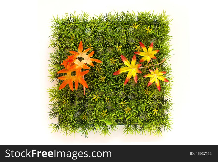 Decorative grass meadow and maple leaf on bright background