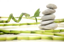 Composition On The Theme Of Zen Royalty Free Stock Photography Composition On The Theme Of Zen Royalty Free Stock Photography