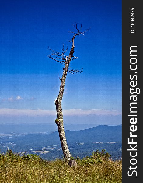 Beautiful view of the popular Blue Ridge Mountain with tree in Shenandoah national park. Beautiful view of the popular Blue Ridge Mountain with tree in Shenandoah national park