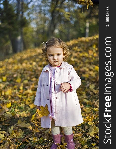 Portrait with little girl in autumn in the park with leaves and trees in the background