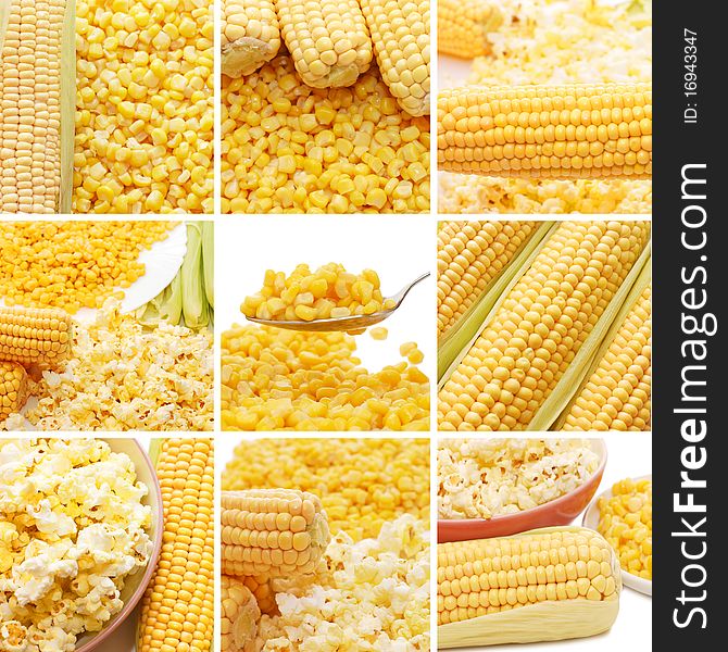 Fresh corn, preserved corn and popcorn collage