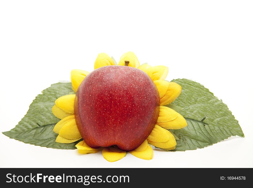 Half red apple on sunflowers blossom
