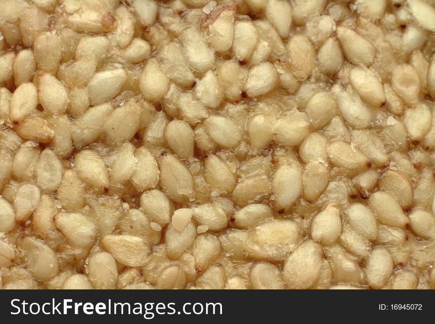 Sesame bar closeup. Sweet snack with sugar