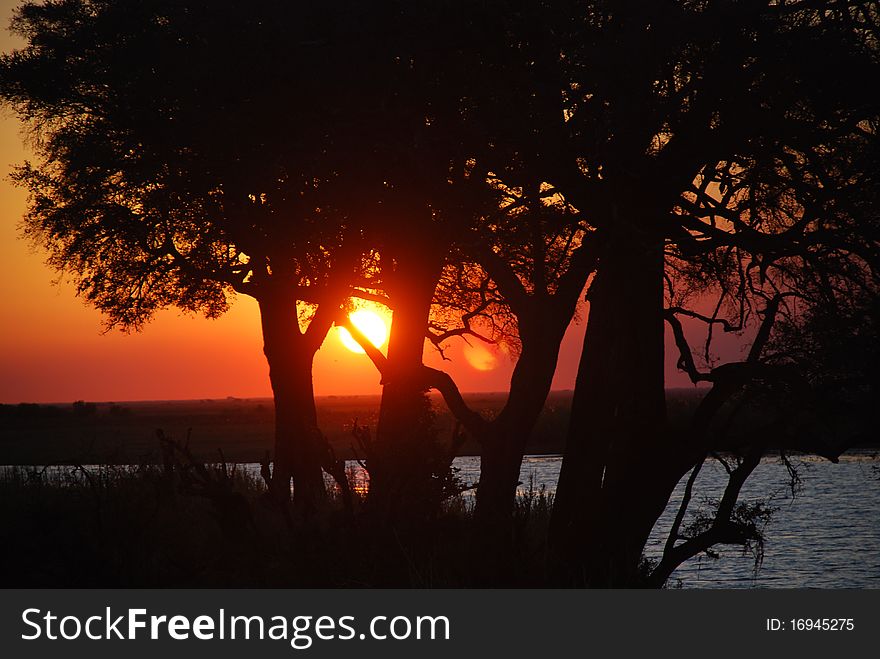 Sunset in chobe national park