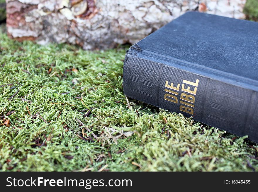 Old Bible lying on moss